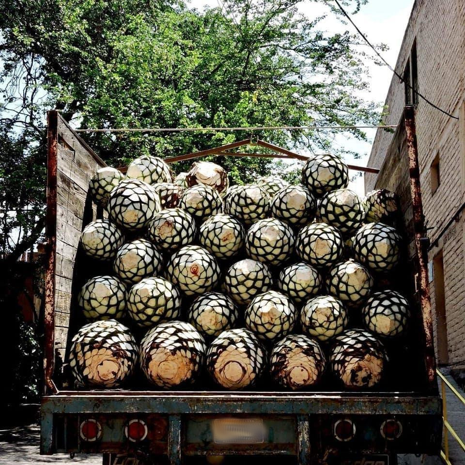 Proceso de producción