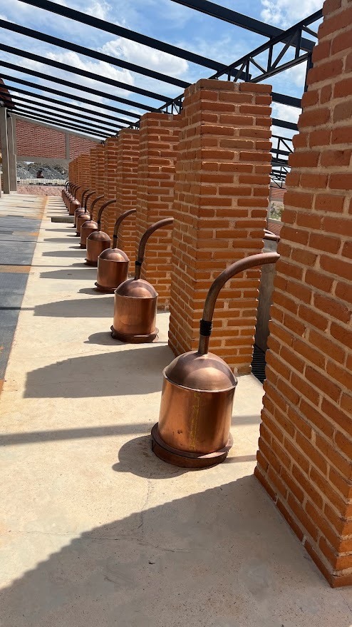 El Portal de las Ánimas